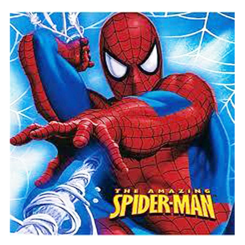 HOMBRE1  The Amazing Spiderman